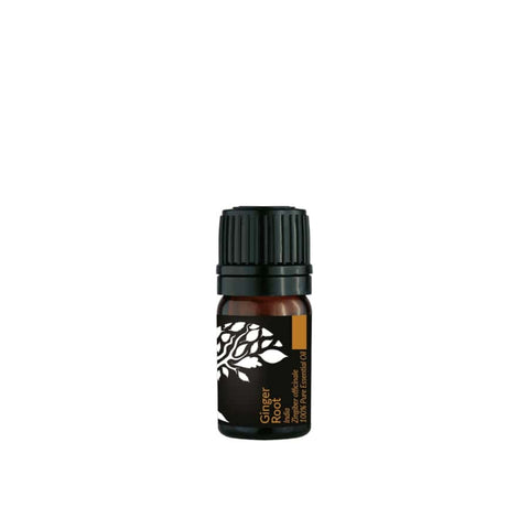 [MS] Ginger Root Essential Oil 5ml